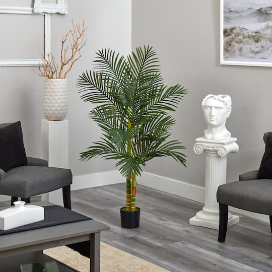 5ft. Potted Golden Cane Palm Tree